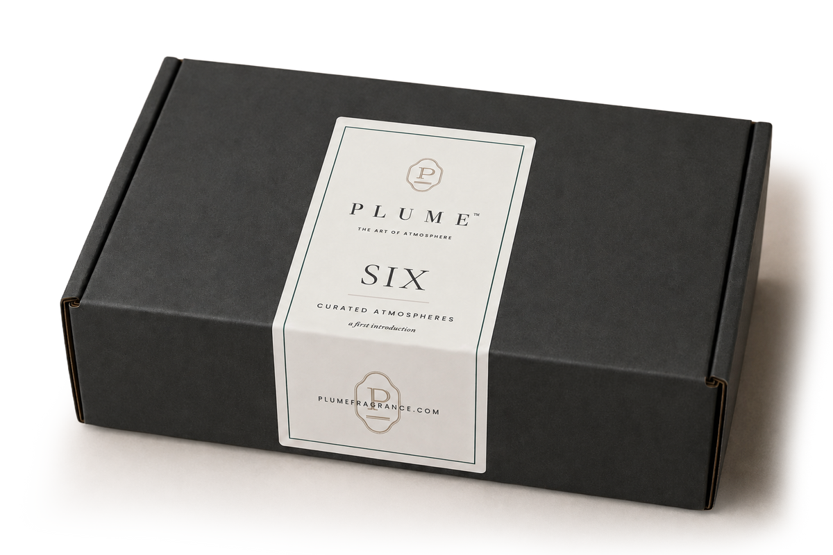SIX Curated Box